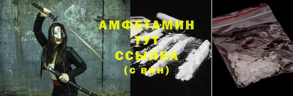 сатива Новодвинск