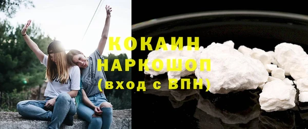 сатива Новодвинск