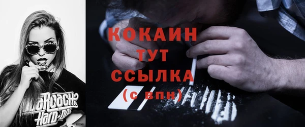 a pvp Няндома
