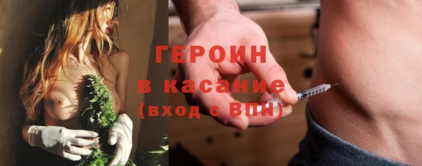 сатива Новодвинск