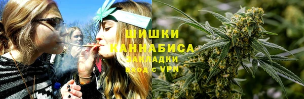 винт Осташков