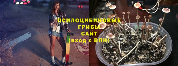 трава Осинники
