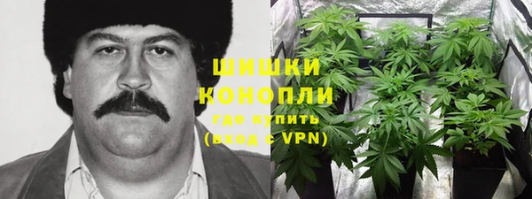 винт Осташков