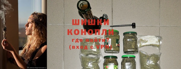 сатива Новодвинск