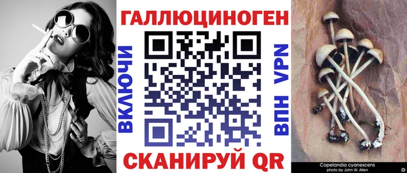хочу   кракен   Галлюциногенные грибы Cubensis  Миньяр 